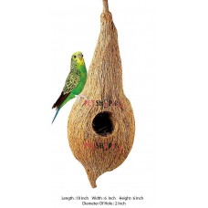 Exotic Coconut Bird Nest