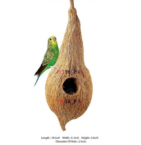 Exotic Coconut Bird Nest