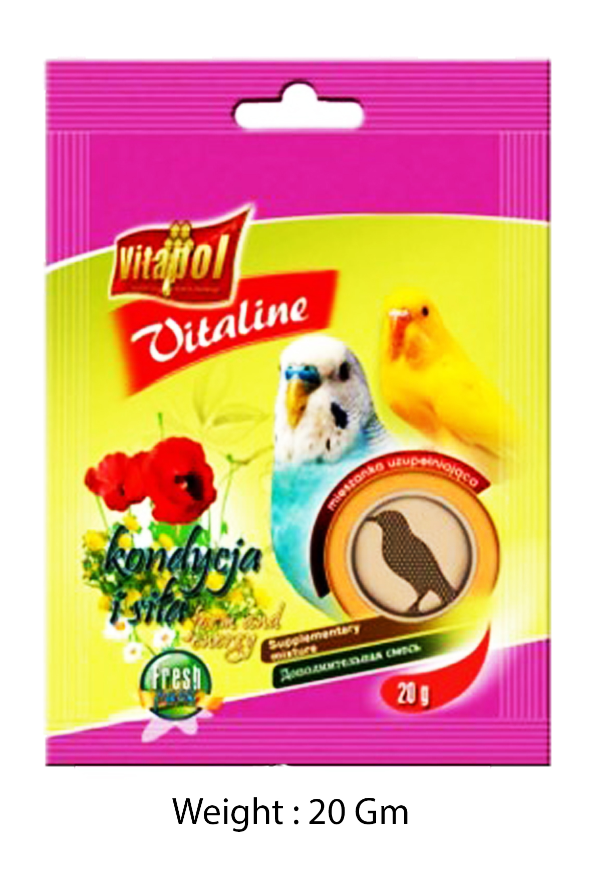 Pet Shop in Delhi Pet in Gurgaon Pet Shop Online