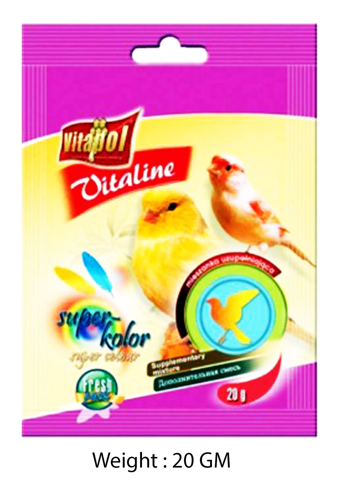 Pet Shop in Delhi Pet in Gurgaon Pet Shop Online