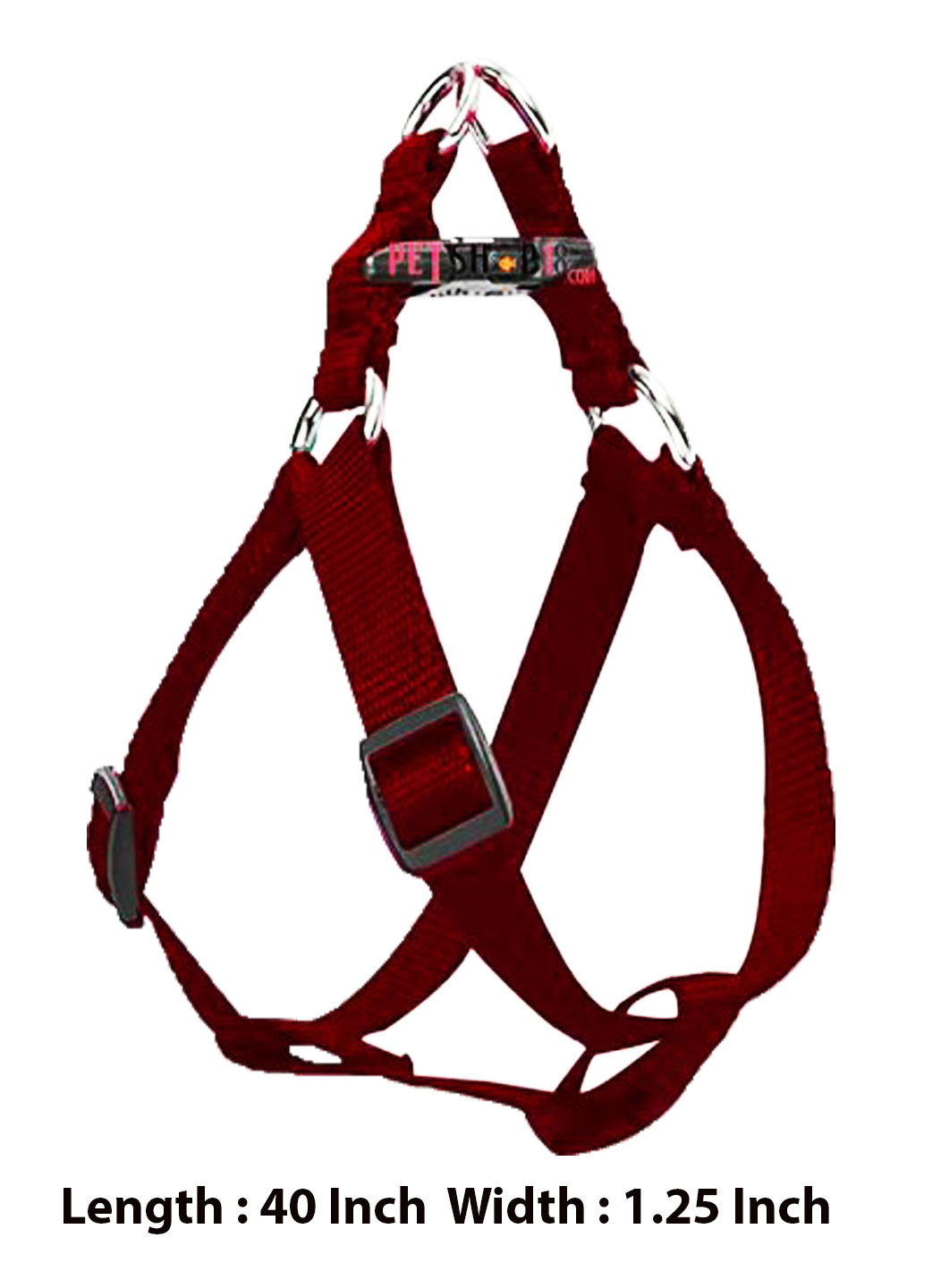 Pet Shop in Delhi Pet in Gurgaon Pet Shop Online