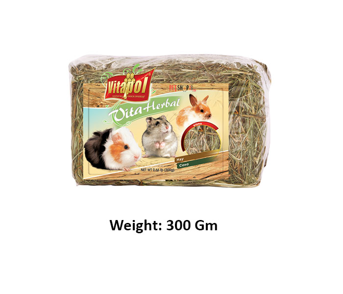 Pet Shop in Delhi Pet in Gurgaon Pet Shop Online