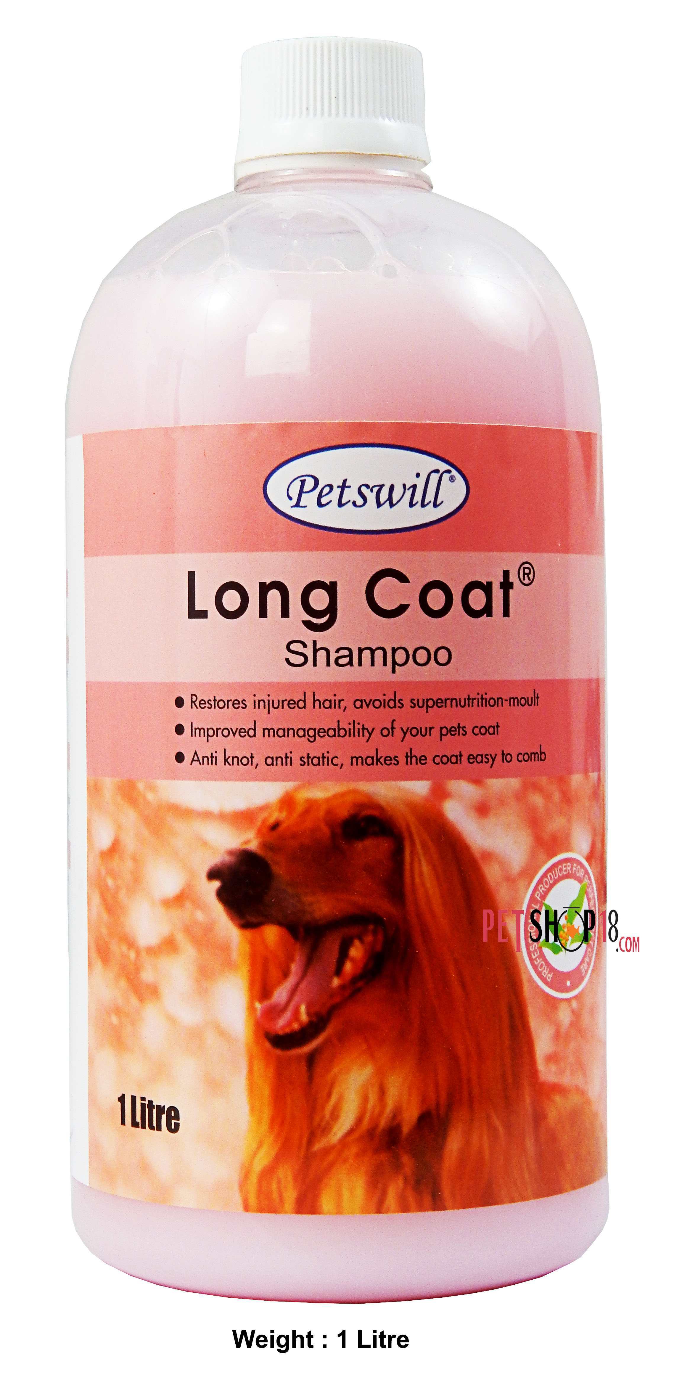 Pet Shop in Delhi Pet in Gurgaon Pet Shop Online