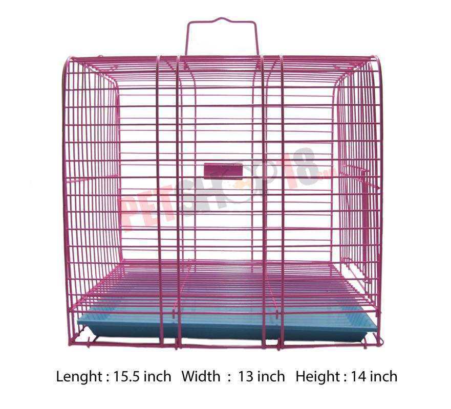 Pet Shop in Delhi Pet in Gurgaon Pet Shop Online