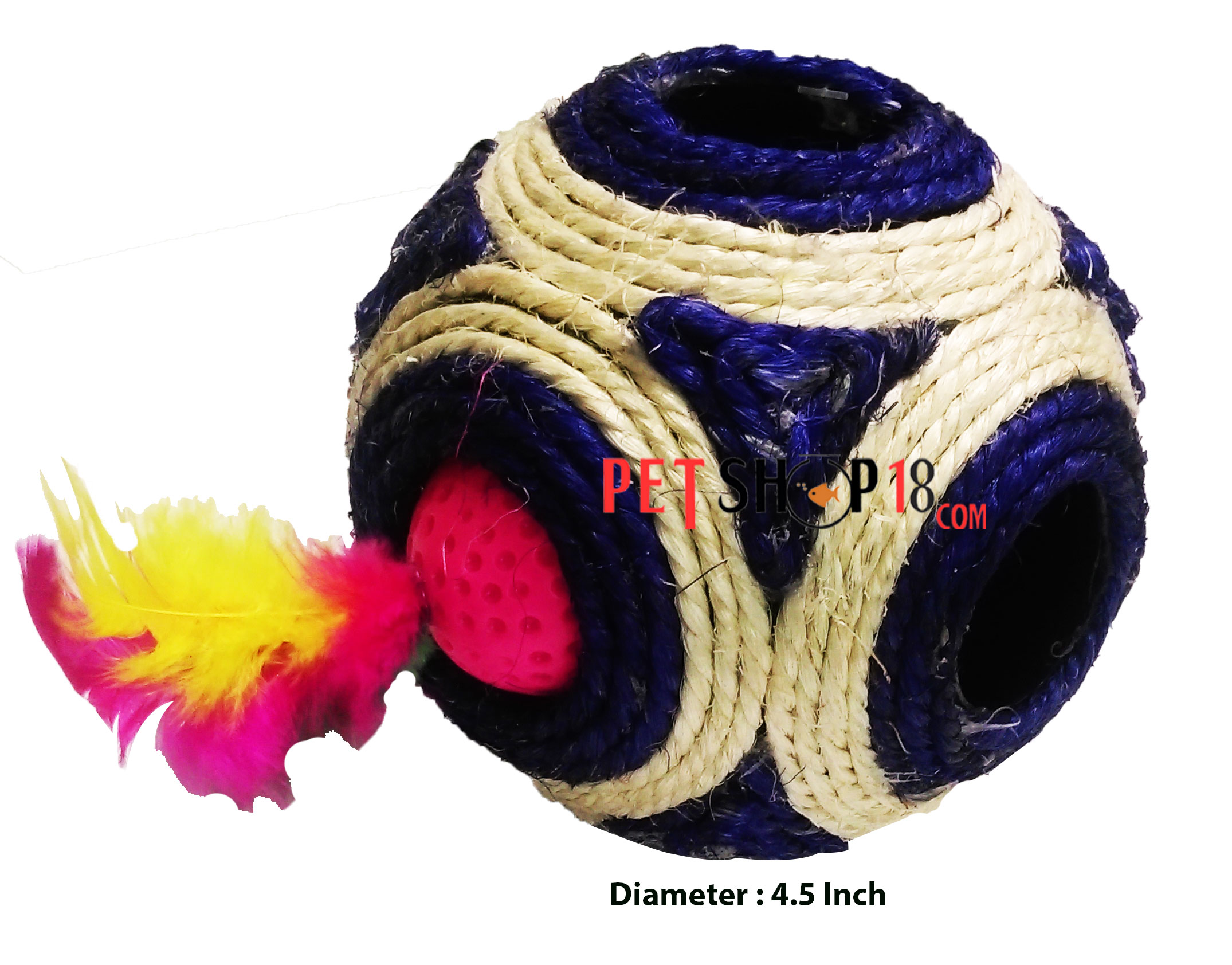 Pet Shop in Delhi Pet in Gurgaon Pet Shop Online